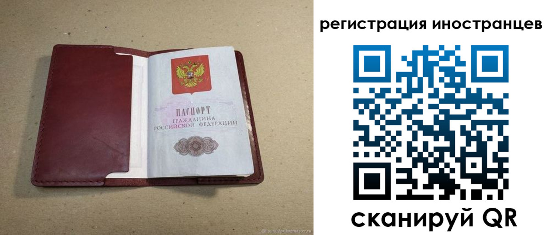 регистрация для школы в Ленинградской области